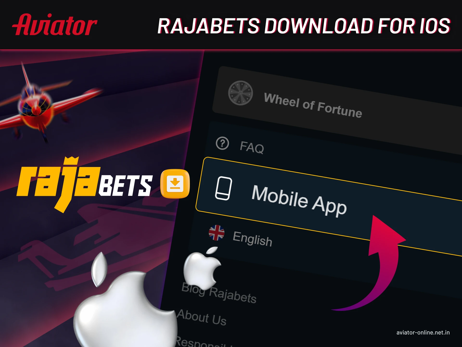 Step-by-step instructions for downloading the Rajabets app on your iOS device.